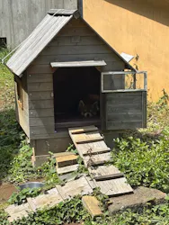 千葉市動物公園に投稿された画像（2026/4/19）