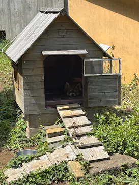 千葉市動物公園に投稿された画像（2026/4/19）
