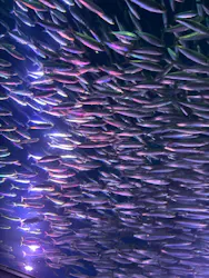 名古屋港水族館に投稿された画像（2026/4/19）