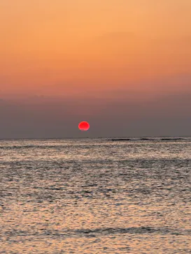 NATURE SHOP PAOに投稿された画像（2026/4/19）