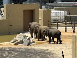 天王寺動物園に投稿された画像（2026/4/19）