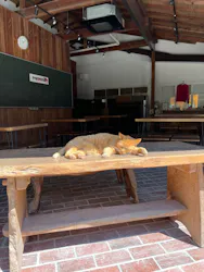 宇都宮動物園に投稿された画像（2026/4/19）