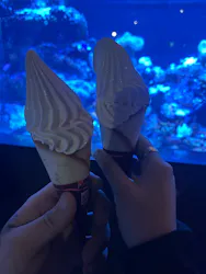 マクセル アクアパーク品川に投稿された画像（2026/4/20）