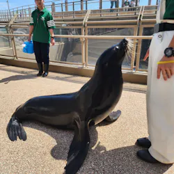アクアワールド茨城県大洗水族館に投稿された画像（2026/4/20）