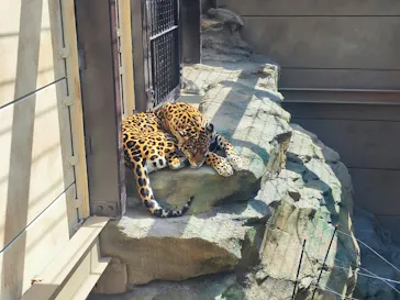 東武動物公園に投稿された画像（2026/4/20）