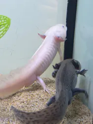 サンシャイン水族館に投稿された画像（2026/4/20）