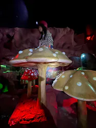 那須ハイランドパークに投稿された画像（2026/4/20）