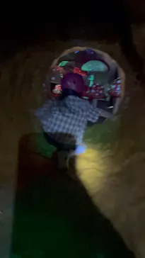 那須ハイランドパークに投稿された画像（2026/4/20）