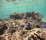 武藤潜水に投稿された画像（2026/4/20）