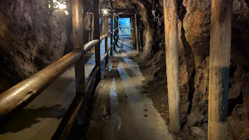 土肥金山に投稿された画像（2026/4/20）