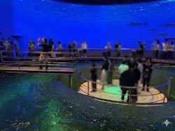 城崎マリンワールドに投稿された画像（2026/4/20）