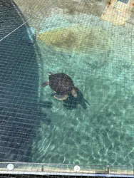 新江ノ島水族館に投稿された画像（2026/4/20）