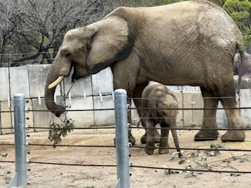 広島市安佐動物公園に投稿された画像（2026/4/20）