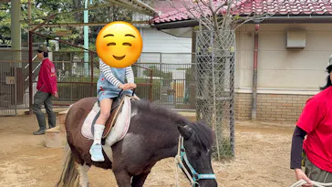 広島市安佐動物公園に投稿された画像（2026/4/20）