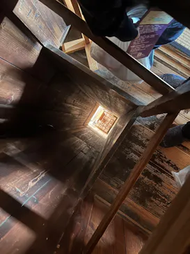 偕楽園本園に投稿された画像（2026/4/20）