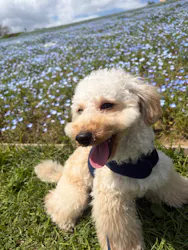 マザー牧場に投稿された画像（2026/4/20）