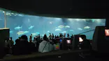 葛西臨海水族園に投稿された画像（2026/4/20）