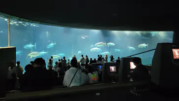 葛西臨海水族園に投稿された画像（2026/4/20）