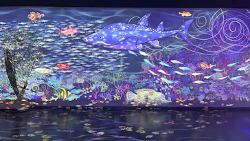 広島もとまち水族館に投稿された画像（2026/4/20）