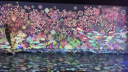 広島もとまち水族館に投稿された画像（2026/4/20）