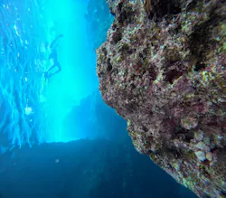 武藤潜水に投稿された画像（2026/4/20）