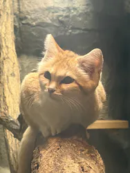 名古屋市東山動植物園に投稿された画像（2026/4/20）