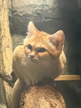 名古屋市東山動植物園に投稿された画像（2026/4/20）