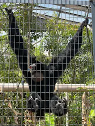 名古屋市東山動植物園に投稿された画像（2026/4/20）