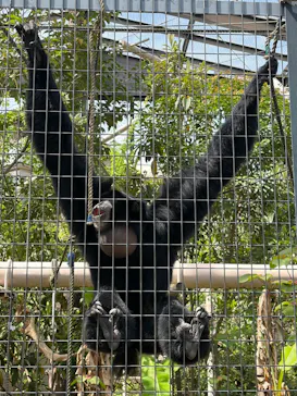 名古屋市東山動植物園に投稿された画像（2026/4/20）