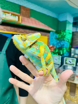 いきもの探検隊上尾に投稿された画像（2026/4/20）