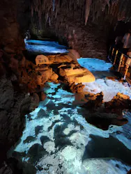 おきなわワールドに投稿された画像（2026/4/20）