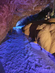 おきなわワールドに投稿された画像（2026/4/20）