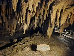 おきなわワールドに投稿された画像（2026/4/20）