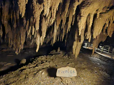 おきなわワールドに投稿された画像（2026/4/20）