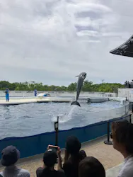 京都水族館に投稿された画像（2026/4/20）