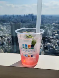 サンシャイン60展望台に投稿された画像（2026/4/20）