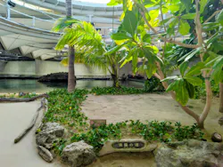 鴨川シーワールドに投稿された画像（2026/4/20）