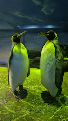 島根県立 しまね海洋館に投稿された画像（2026/4/20）