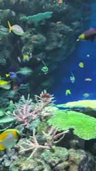 島根県立 しまね海洋館に投稿された画像（2026/4/20）