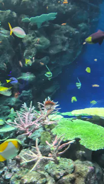 島根県立 しまね海洋館に投稿された画像（2026/4/20）