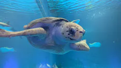 島根県立 しまね海洋館に投稿された画像（2026/4/20）