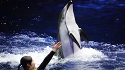 マクセル アクアパーク品川に投稿された画像（2026/4/20）