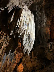 CAVE OKINAWAに投稿された画像（2026/4/20）