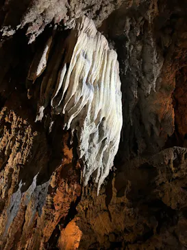 CAVE OKINAWAに投稿された画像（2026/4/20）