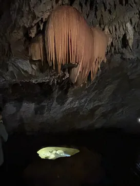 CAVE OKINAWAに投稿された画像（2026/4/20）