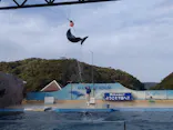 下田海中水族館に投稿された画像（2026/4/21）