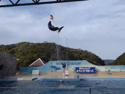 下田海中水族館に投稿された画像（2026/4/20）