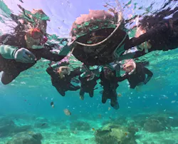 武藤潜水に投稿された画像（2026/4/21）