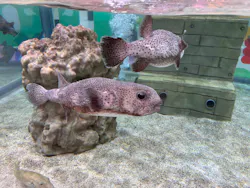 NIFREL（ニフレル）に投稿された画像（2026/4/21）