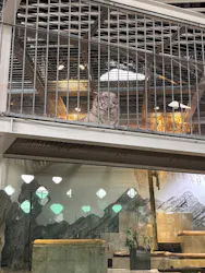 NIFREL（ニフレル）に投稿された画像（2026/4/21）